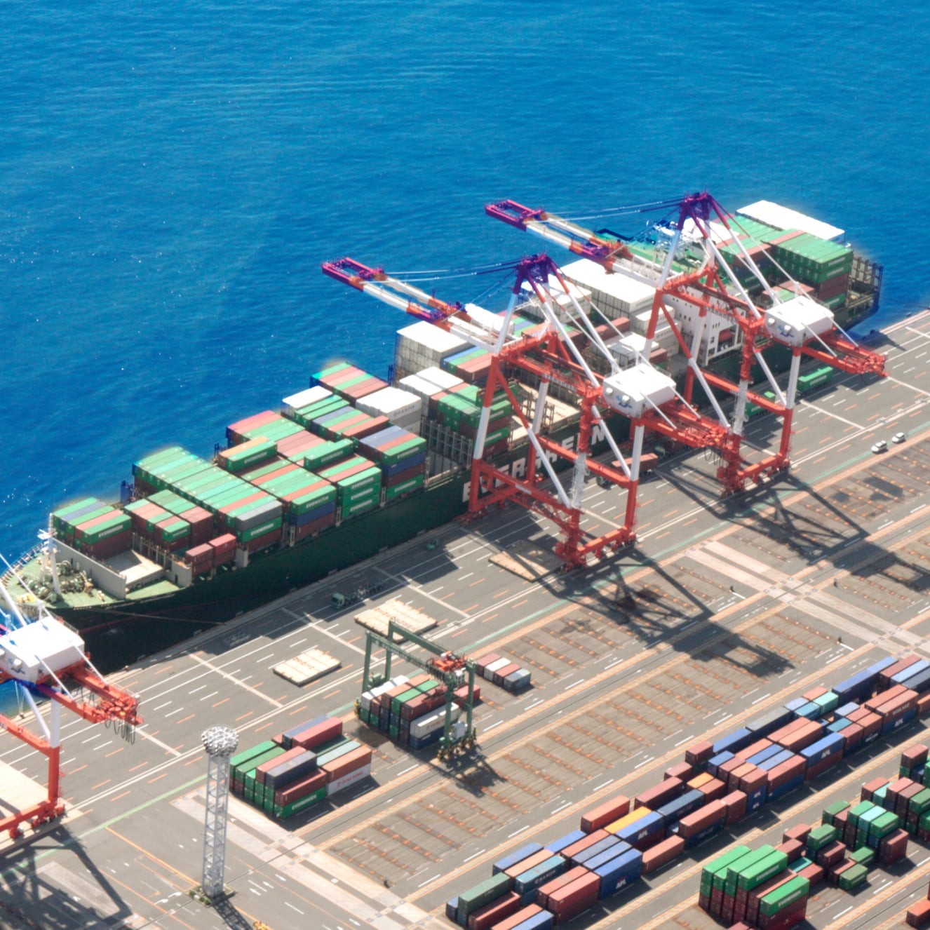 コーラルシッピング