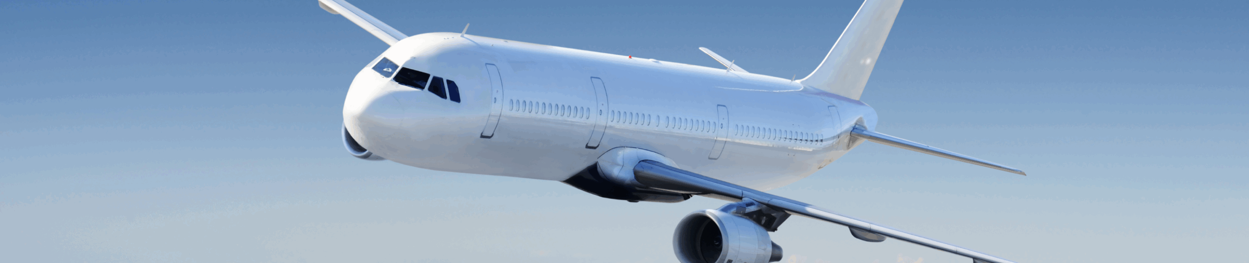 航空輸送サービス